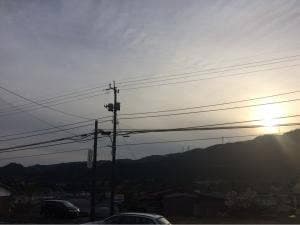 らびっと