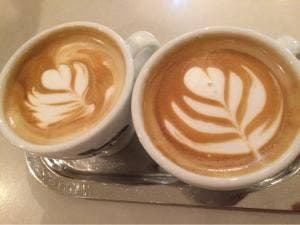 shakers cafe lounge