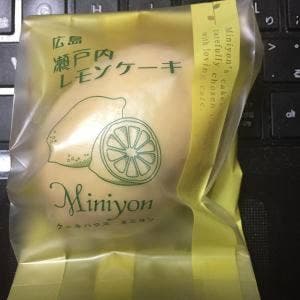 ミニヨン光町店