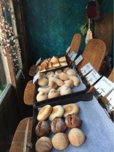 爬虫類両生類研究所8 喫茶 分室