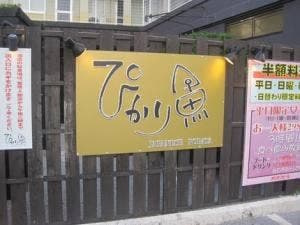 JAPANESE ROBATA ぴかり魚