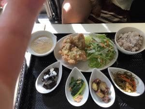 ドッグランカフェ加恋ちゃん家
