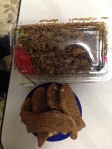 小島屋