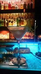 aquarium＆liqur Ray 本厚木店