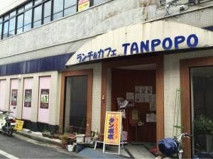 タンポポ