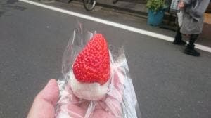 お菓子司 青柳