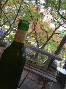 さがの楓カフェ