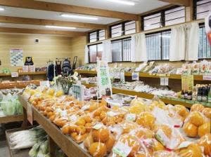 荒尾ときめき市