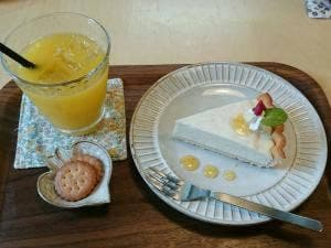 雑貨とカフェと古道具 Patrie