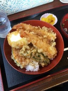 げんきうどん