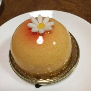 バイカル山科店