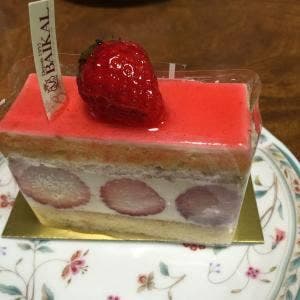 バイカル山科店