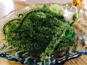 沖縄バル ナンクル