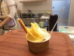 GELATERA Vivo