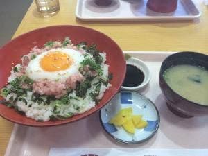 めかりパーキングエリア レストランコーナー