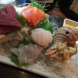 いざか屋水槽族