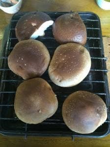 谷汲しいたけ園