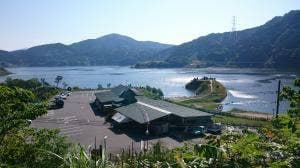 風樹