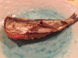 祇園寿司 Sushi and Bar SPOT