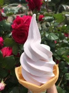 かのやばら園 ローズダイナー