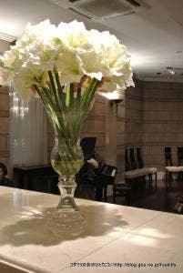 ザ クラブ オブ エクセレントコースト