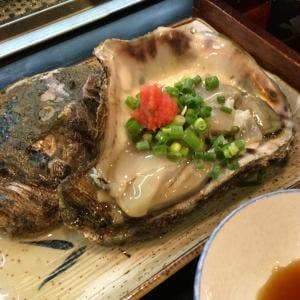 鳥若