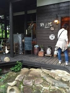 野の花かふぇ