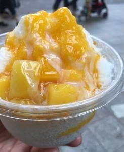 フードキャンプ