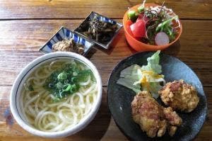 うどん人生 たもん