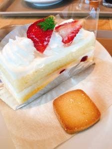 スティックスイーツファクトリー 湘南モールフィル店