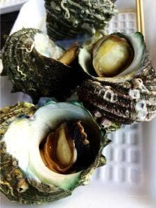 魚売り処 新鮮家