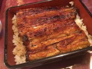 うなぎ柳