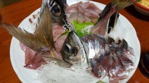 民宿 かたなし