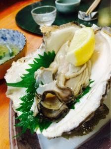 遊肴