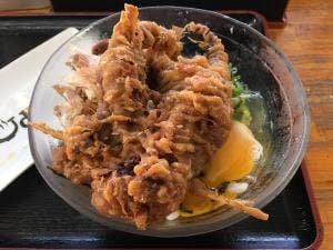 セルフうどん さざなみ 曽根店