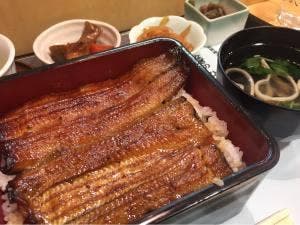 うなぎのひら山