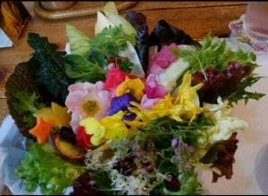 は～ぶしょっぷ香器