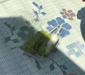 げいびレストハウス