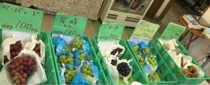 市来葡萄園