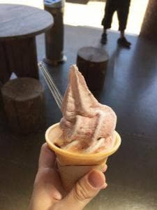 道の駅みなみかた もっこりの里
