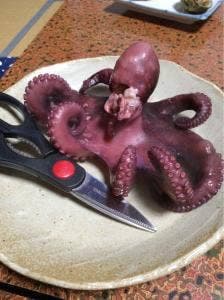 すずらん