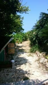 Yoron Seaside Garden