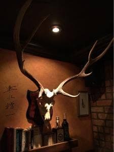 アポロ