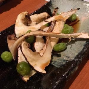 扇木