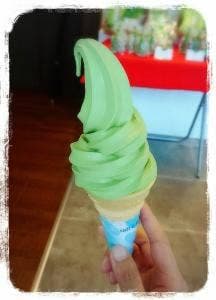 宇治茶の郷