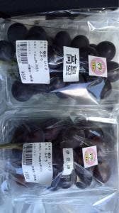 食彩館 伊和の里