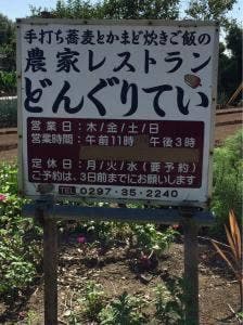 どんぐりてい
