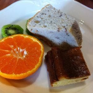 恐竜樂樂舎