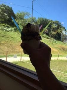 大池ジェラート 風水花