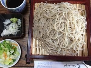 山法師